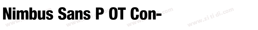 Nimbus Sans P OT Con字体转换 Nimbus Sans P OT Con字体转换